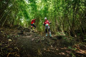 BIB: 
                            <button type="button" onclick="openModal(25101562)" class="btn btn-primary btn-sm float-right btn-popup" data-toggle="modal" data-target=".modal-high-quality">
                        <i class="fas fa-shopping-cart"></i> Add to Cart
                    </button>
                                            <button type="button" onclick="isThisMe(25101562, true)" class="btn btn-success btn-sm float-right btn-popup btn-isme hidden" data-toggle="tooltip" data-placement="bottom" title="นี่คือรูปของคุณใช่ไหม คลิกที่นี่เพื่อเอาเข้าอัลบั้ม">
                        <i class="fas fa-plus"></i> Add to album
                    </button>
                    <button type="button" onclick="isThisMe(25101562, false)" class="btn btn-warning btn-sm float-right btn-popup btn-isnotme hidden">
                        <i class="fas fa-ban"></i> Remove from album
                    </button>